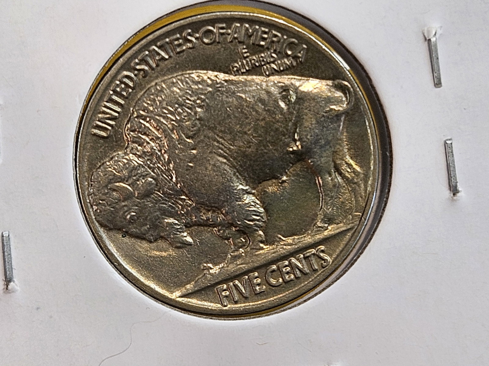Very Choice to GEM Brilliant Uncirculated 1937 Buffalo Nickel - 4
