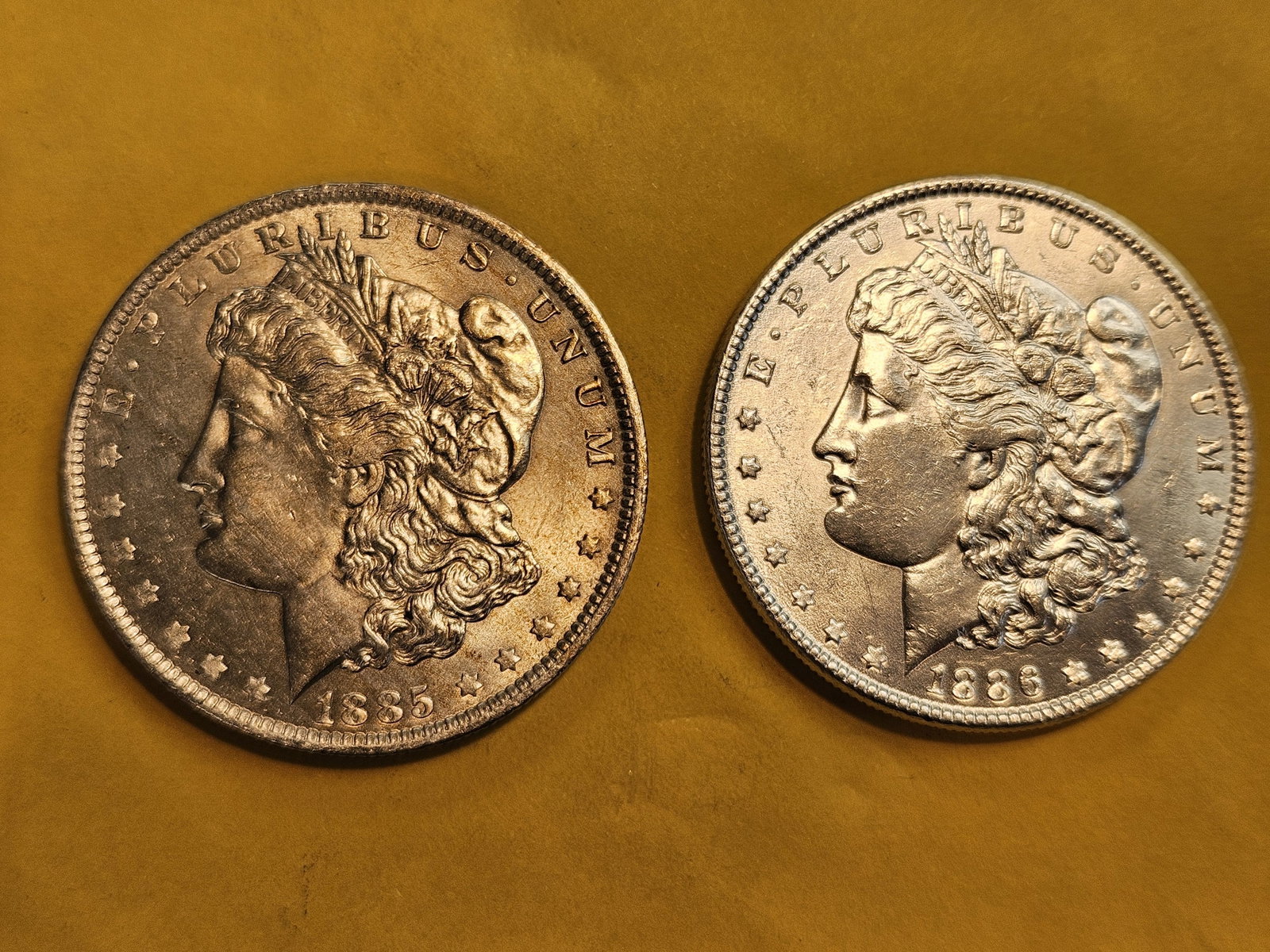Two Brilliant About Uncirculated Plus Morgan Dollars: Mixed