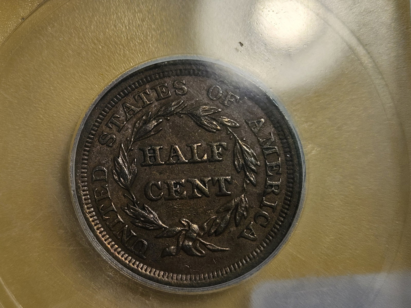 ICG 1857 Braided Hair Half-Cent in About Uncirculated - 50 - 7