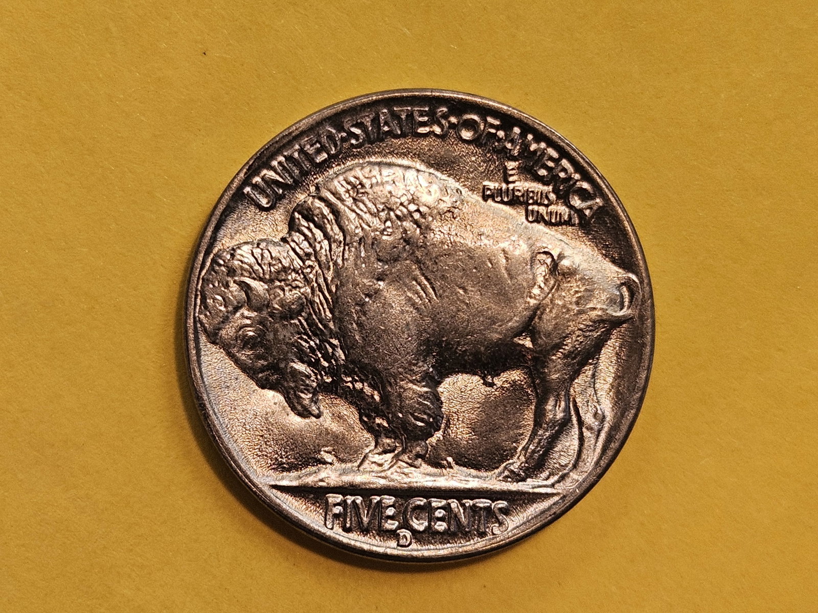 GEM Brilliant Uncirculated plus 1938-D Buffalo Nickel - 8