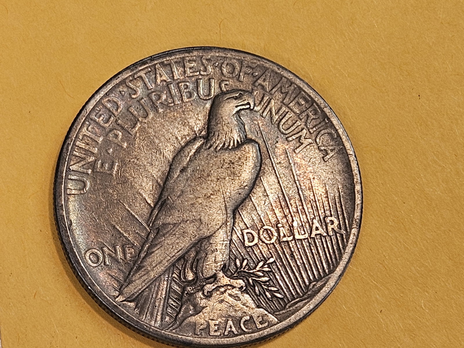 ** KEY DATE ** 1921 Peace silver Dollar in Very Fine - 3