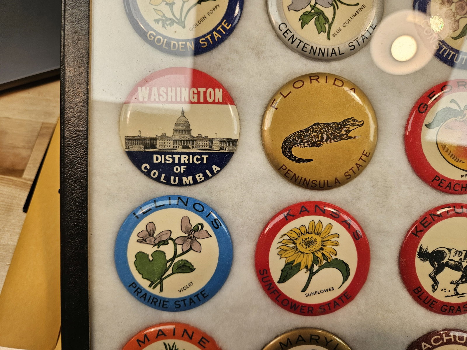 Vintage State Button Collection - 4