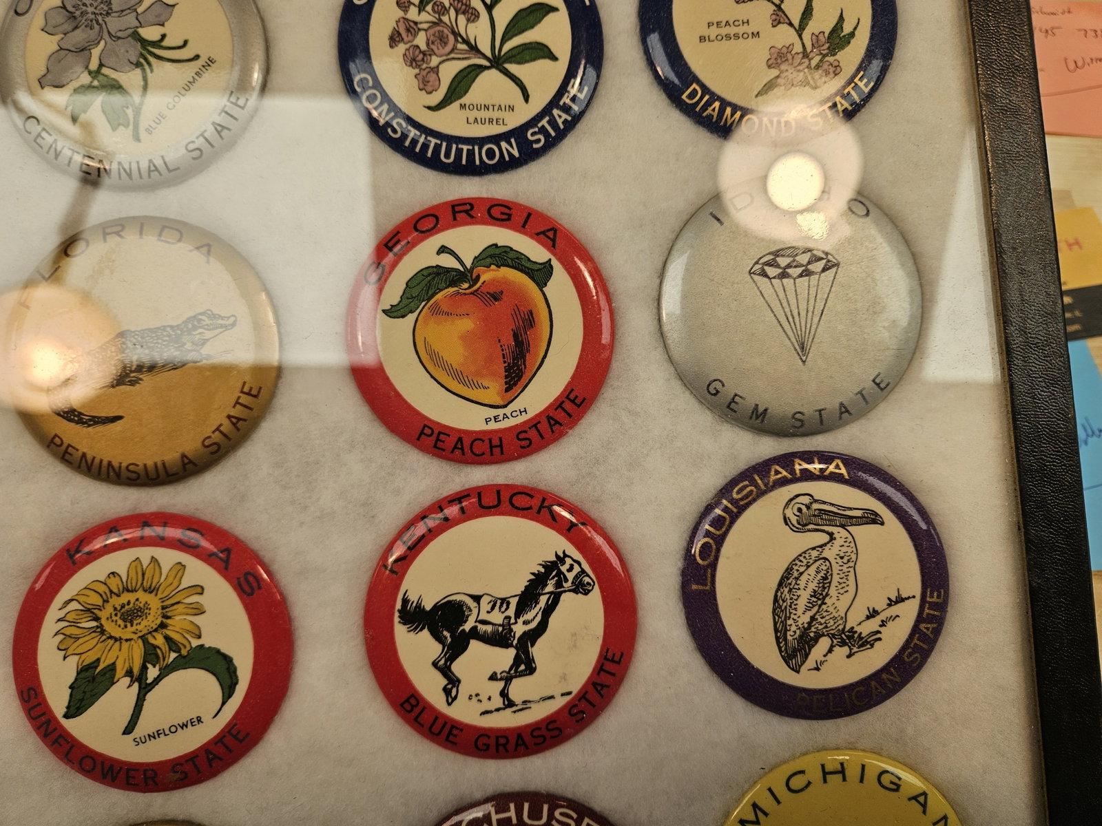 Vintage State Button Collection - 5