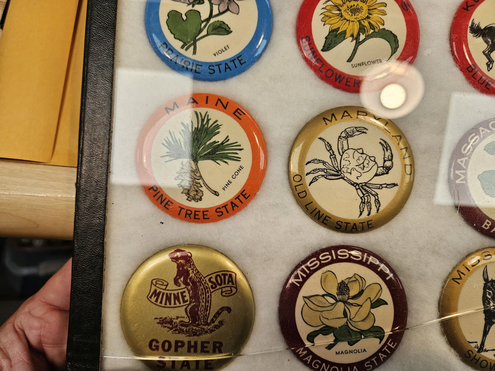Vintage State Button Collection - 6