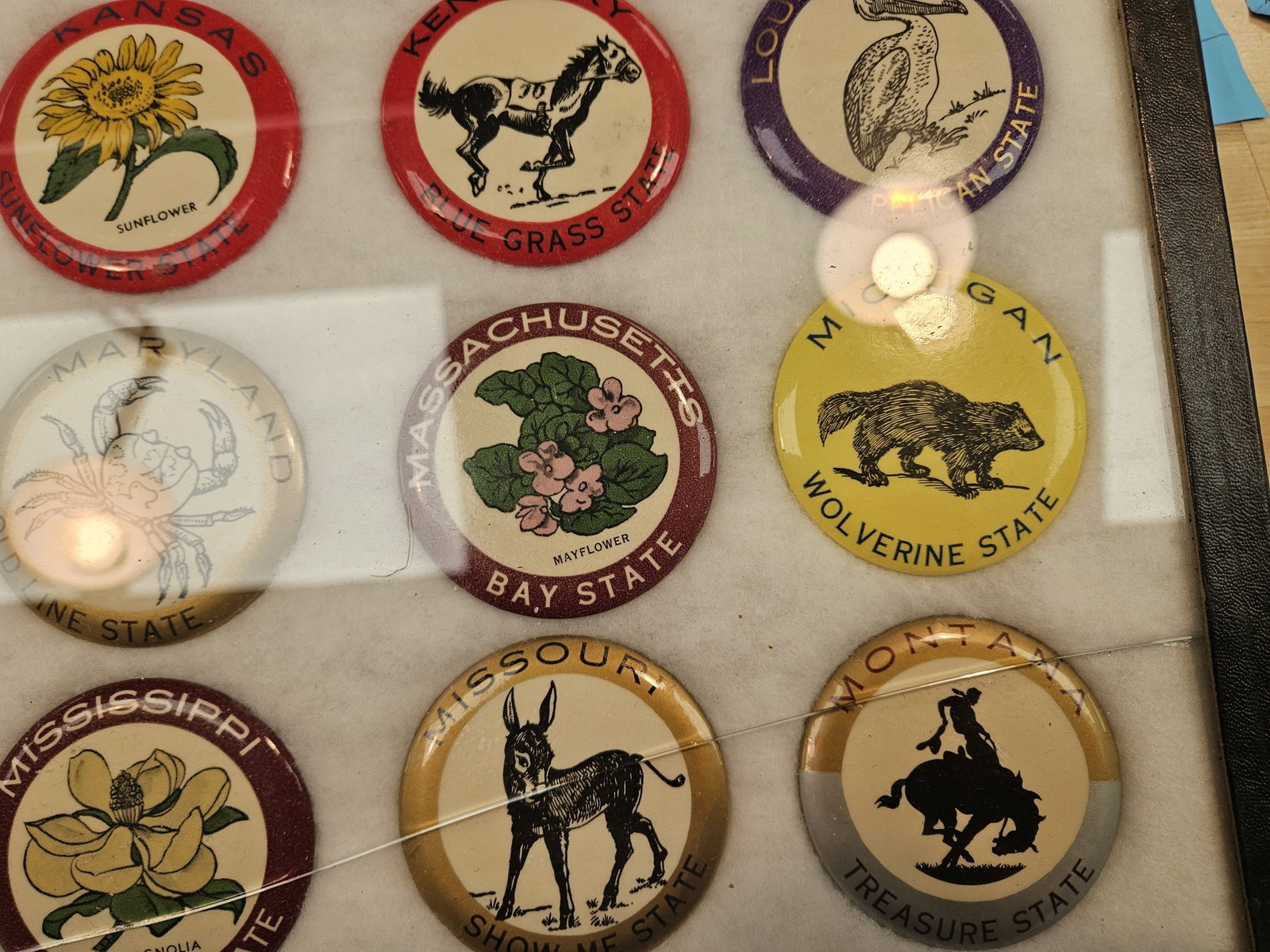 Vintage State Button Collection - 7