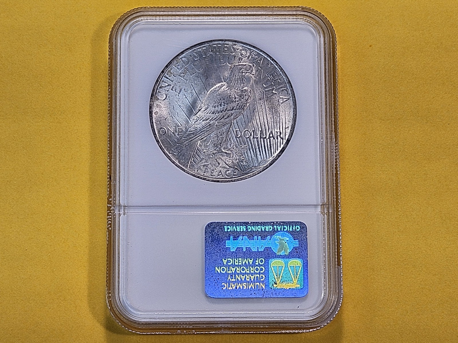 GEM! NGC 1923 Peace Silver Dollar in Mint State 65 - 3