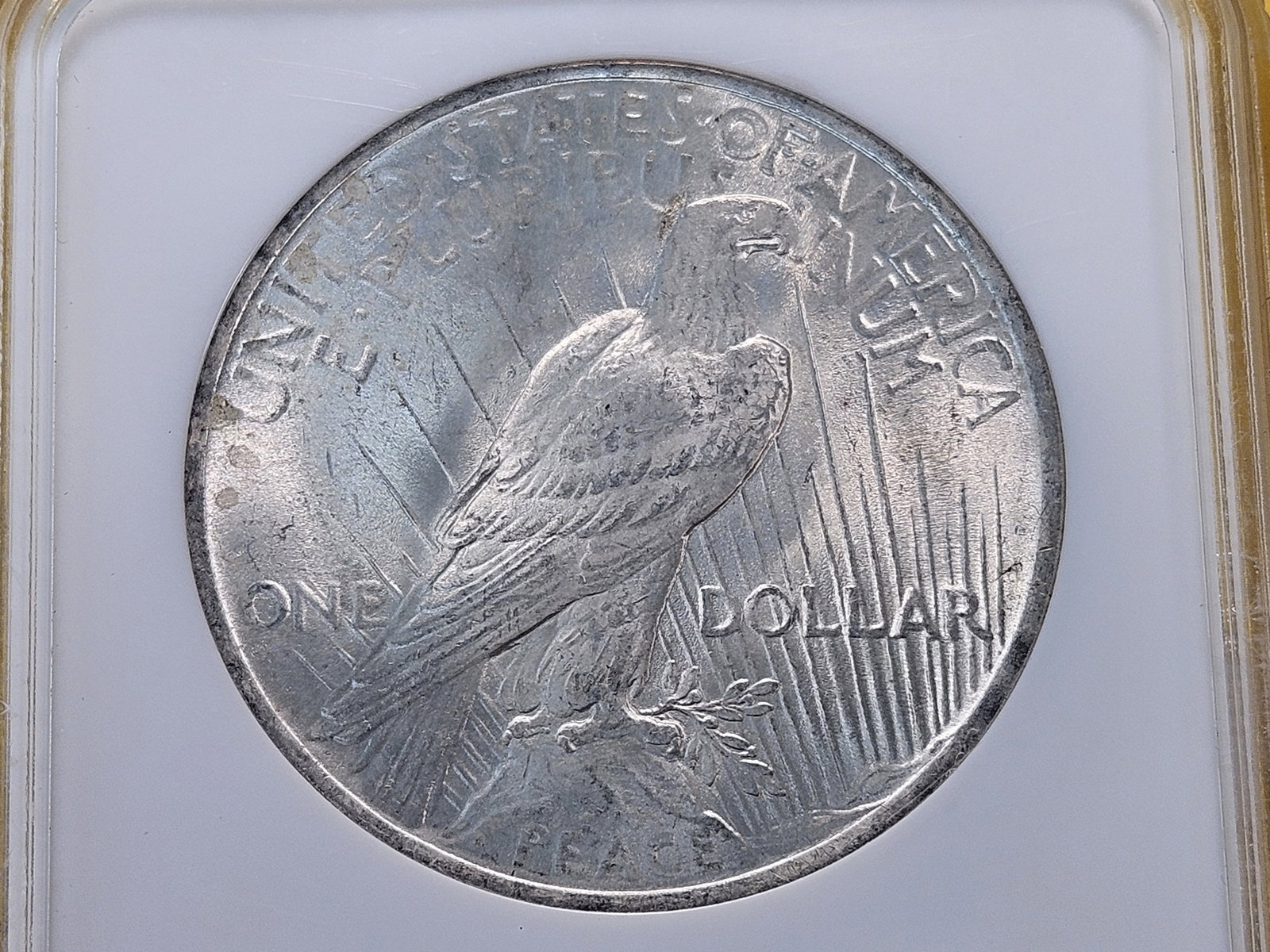 GEM! NGC 1923 Peace Silver Dollar in Mint State 65 - 4