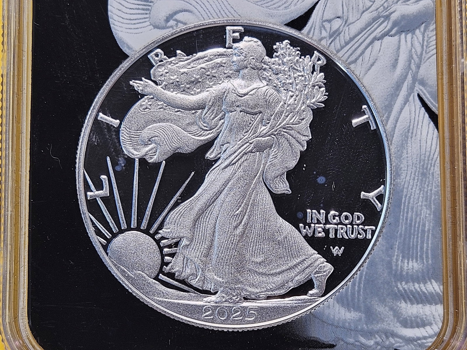 PERFECT! NGC 2025-W American Silver Eagle in Proof 70 Ultra Cameo