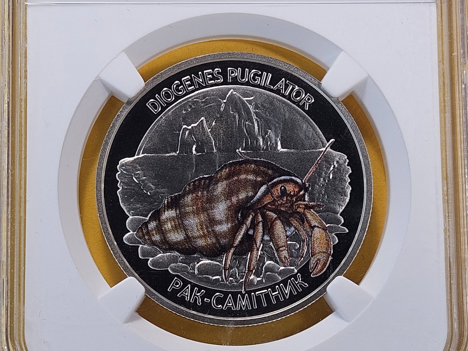 NGC 2025 Ukraine 5 Hyrven in Mint State 69 Deep Proof Like (1 of 4)