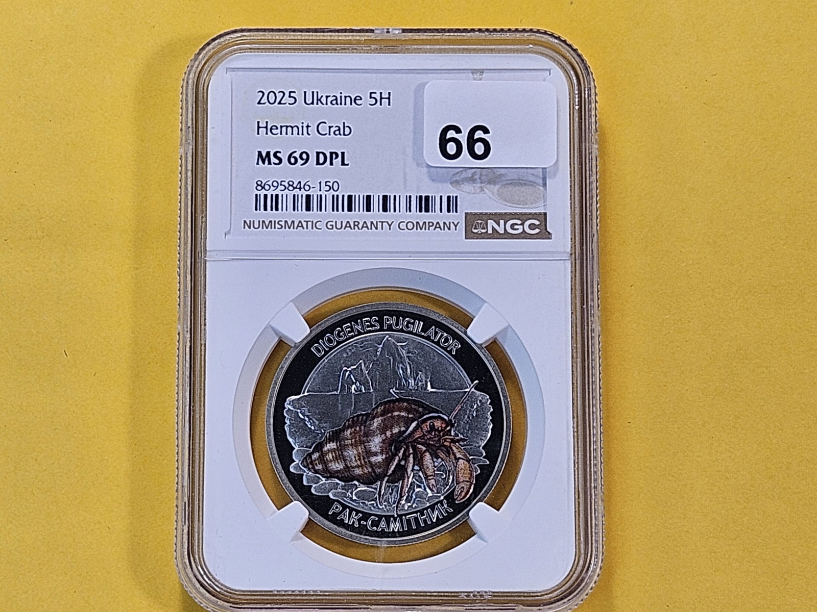 NGC 2025 Ukraine 5 Hyrven in Mint State 69 Deep Proof Like - 2