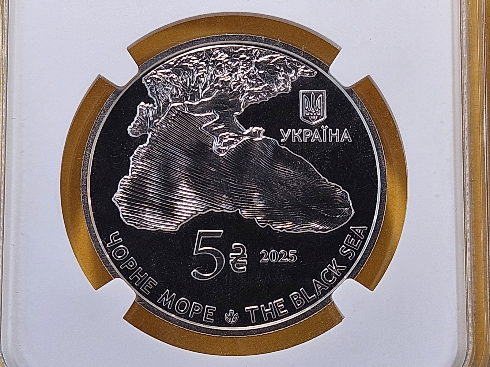 NGC 2025 Ukraine 5 Hyrven in Mint State 69 Deep Proof Like - 4