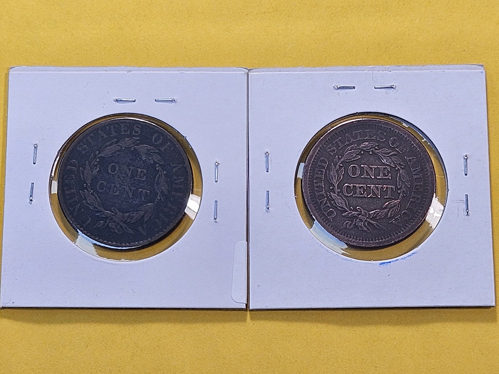 Two Circulated US Large Cents - 4