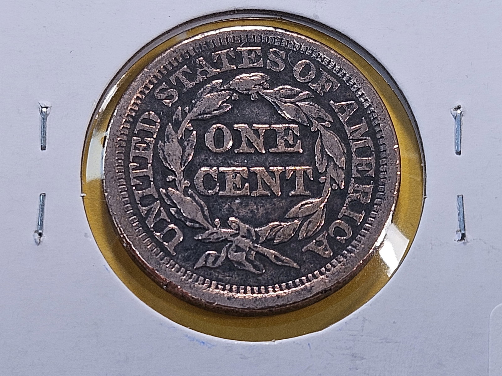 Two Circulated Braided Hair Large Cents - 5