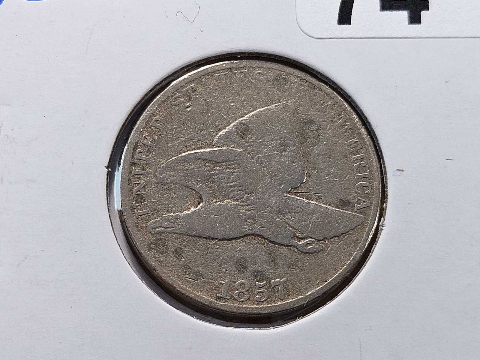Two Circulated Flying Eagle Cents - 2