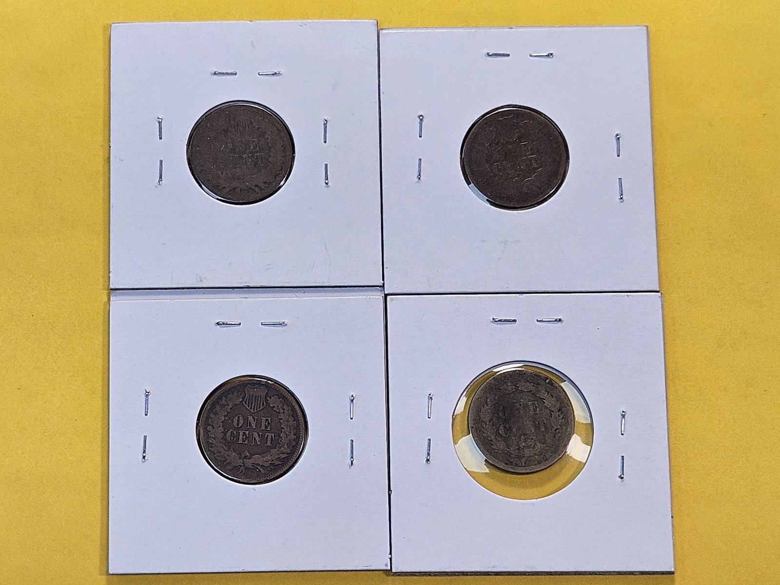 Four Circulated Indian Head Cents - 4
