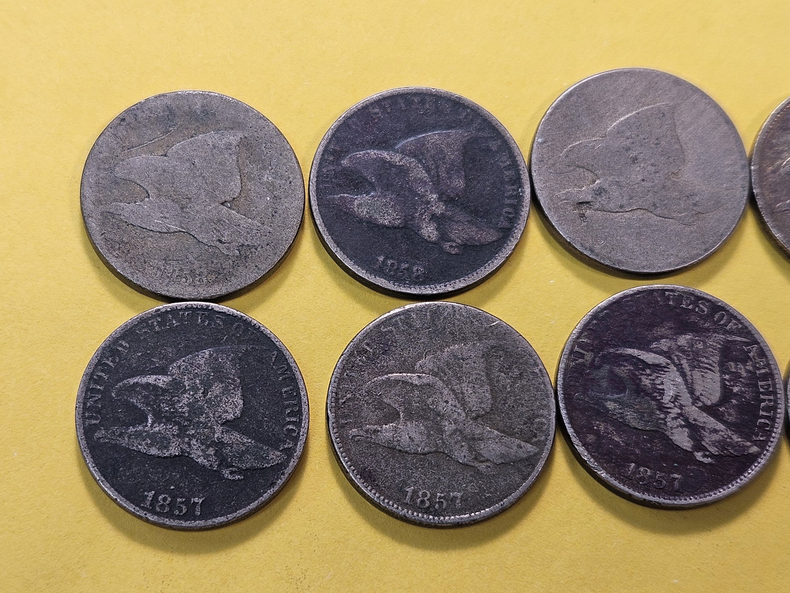 Ten Circulated Flying Eagle Cents - 2