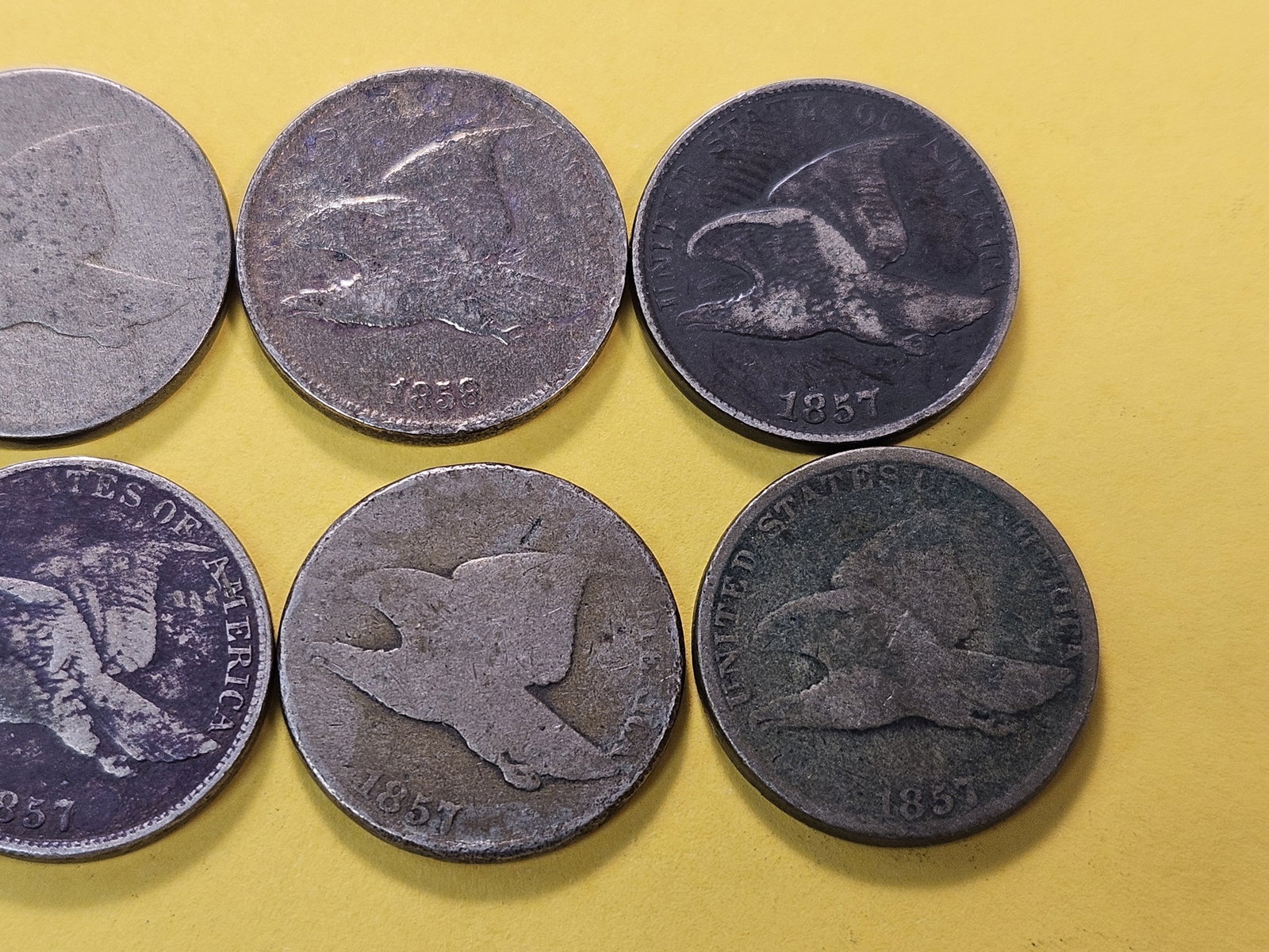 Ten Circulated Flying Eagle Cents - 3