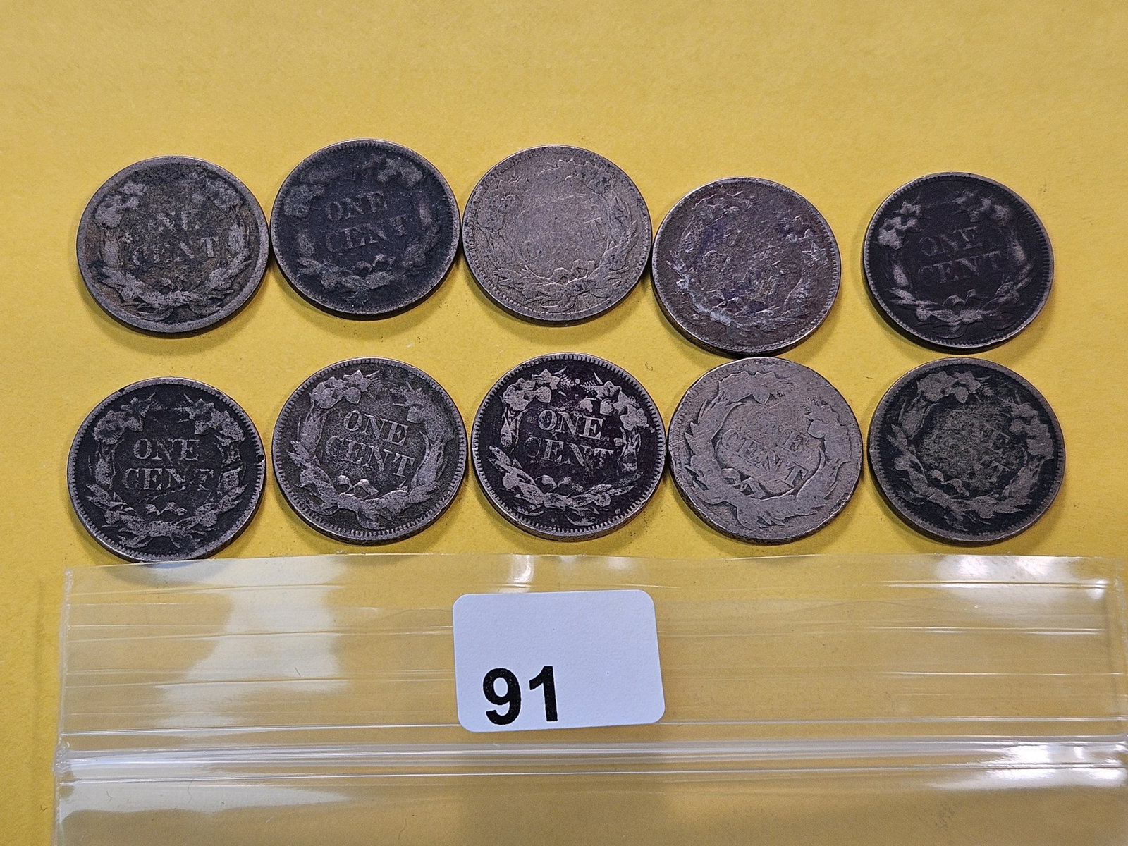 Ten Circulated Flying Eagle Cents - 4