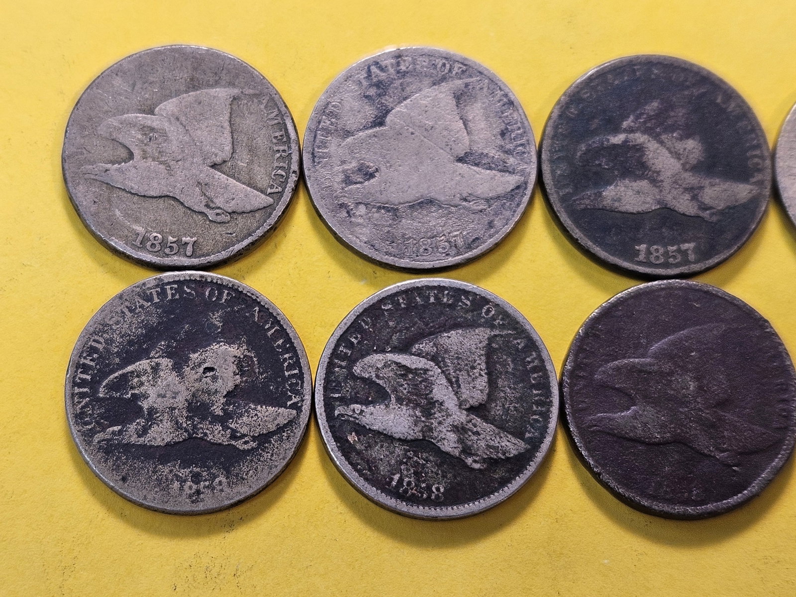 Ten Circulated Flying Eagle Cents - 2