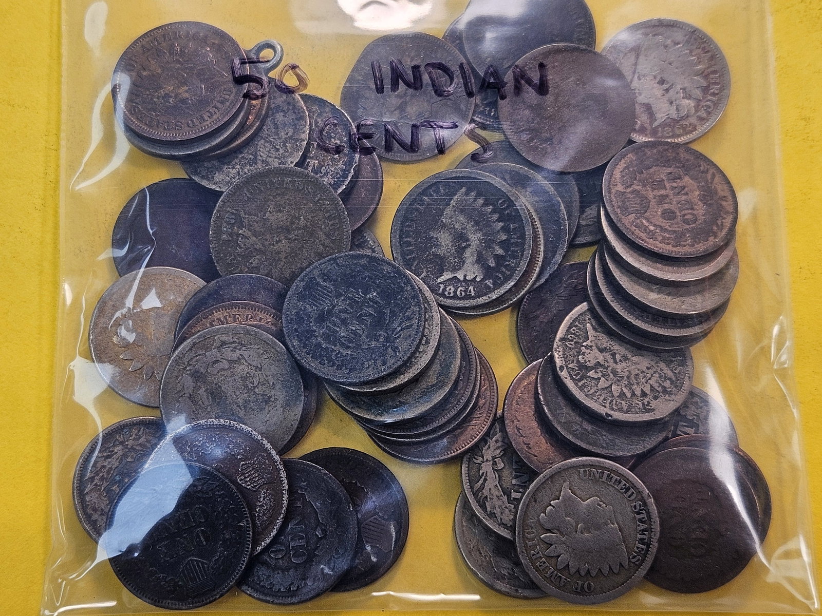 Fifty Mixed Indian Head Cents - 2