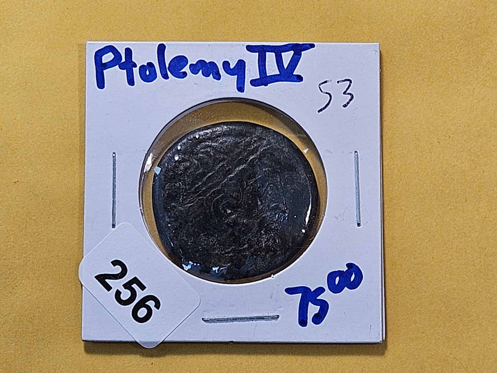 Undated Egyptian Bronze Coin - 2