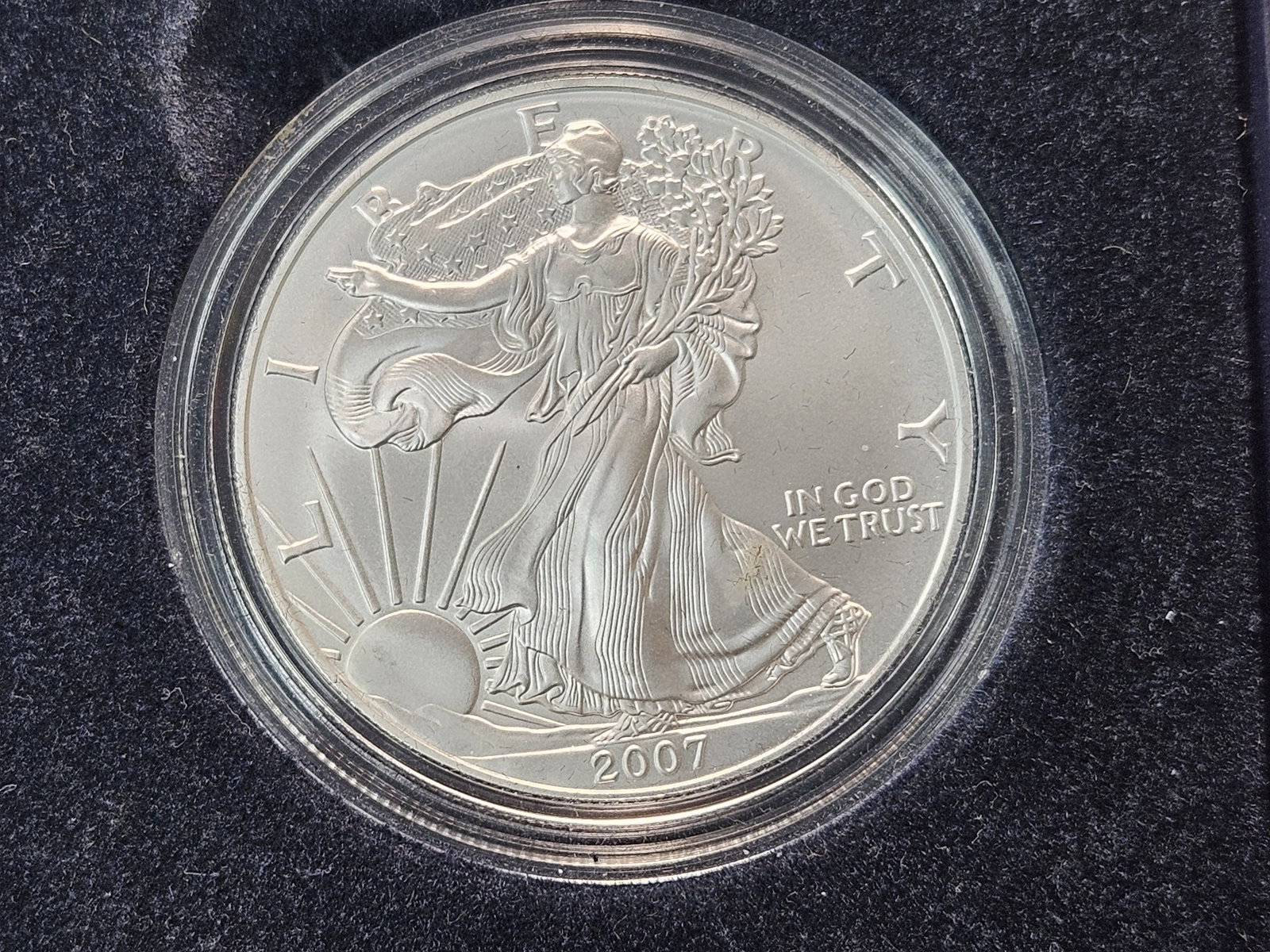 US Mint 2007 Brilliant Uncirculated 2007 American Silver Eagle - 3