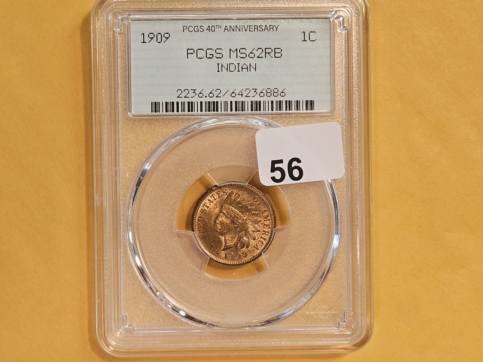 PCGS 1909 Indian Cent in Mint State 62 Red-Brown - 2