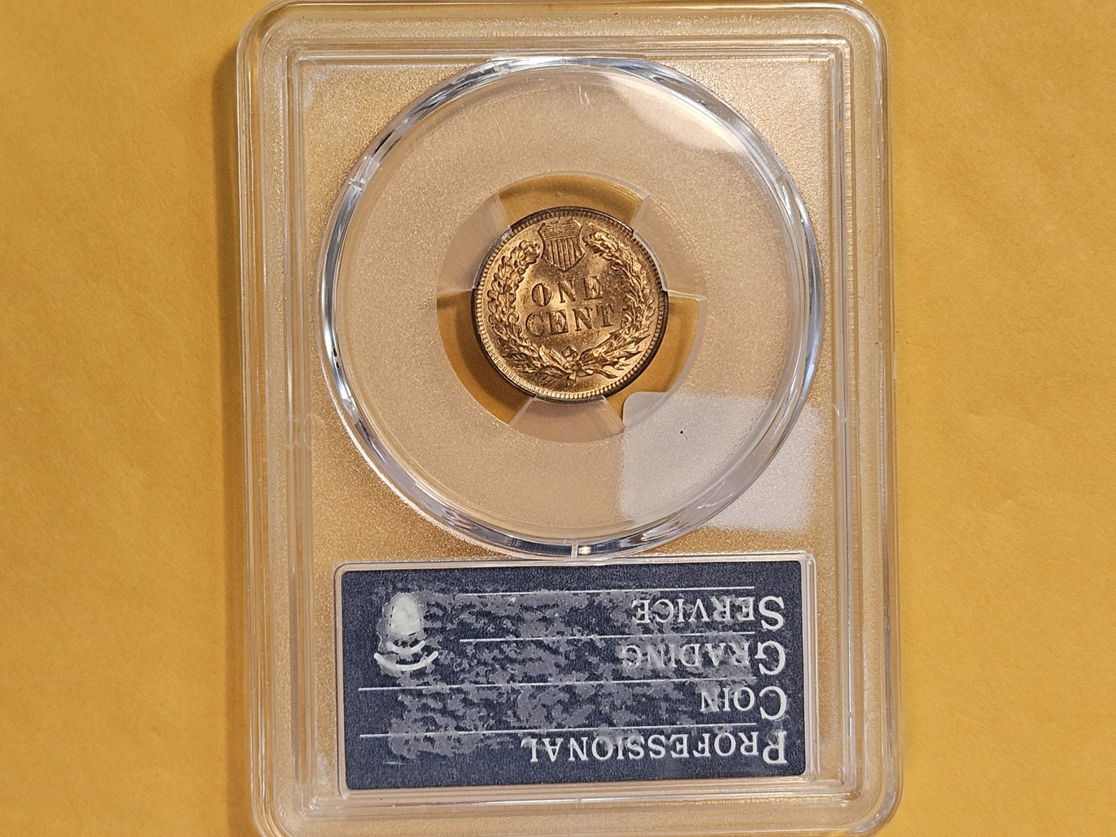 PCGS 1909 Indian Cent in Mint State 62 Red-Brown - 3