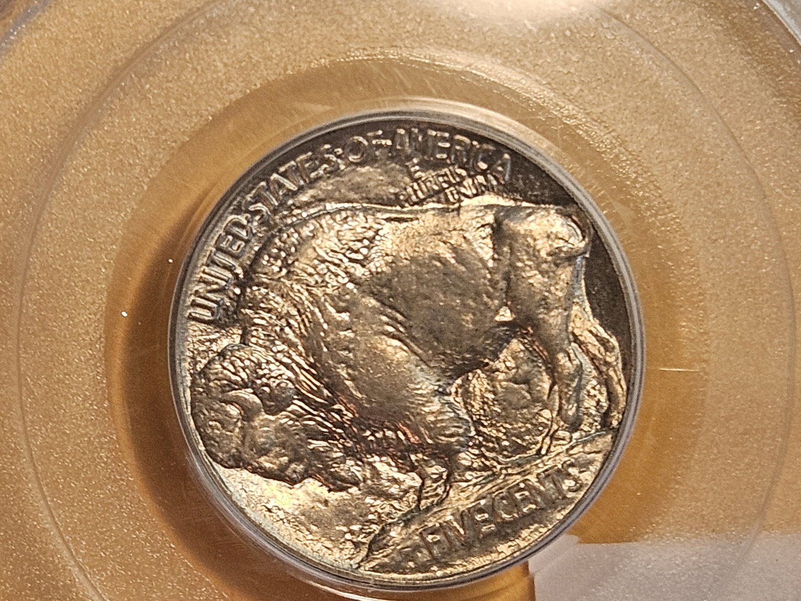 PCGS 1913 Type 1 Buffalo Nickel in Mint State 64 - 4