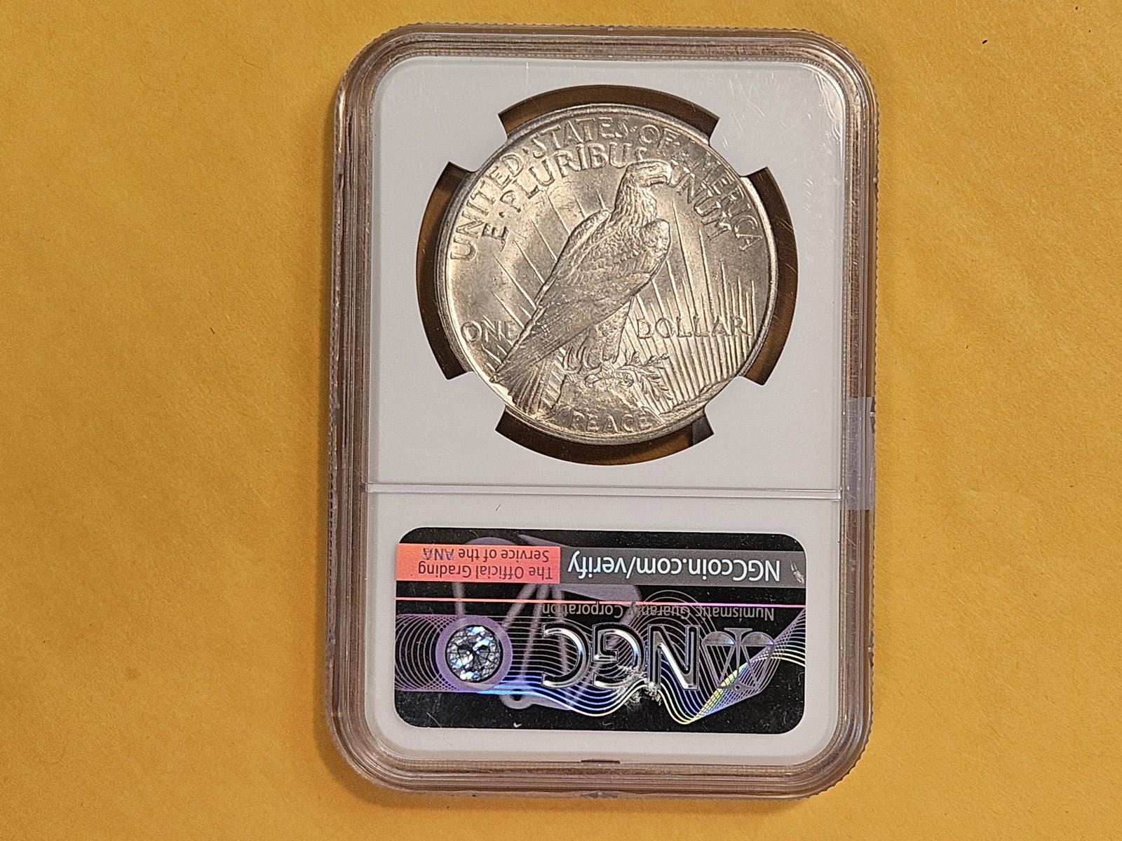 ** KEY DATE ** NGC 1921 Peace Silver Dollar in Mint State 63 - 3