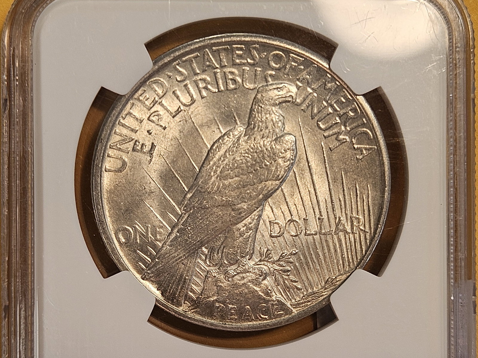 ** KEY DATE ** NGC 1921 Peace Silver Dollar in Mint State 63 - 4