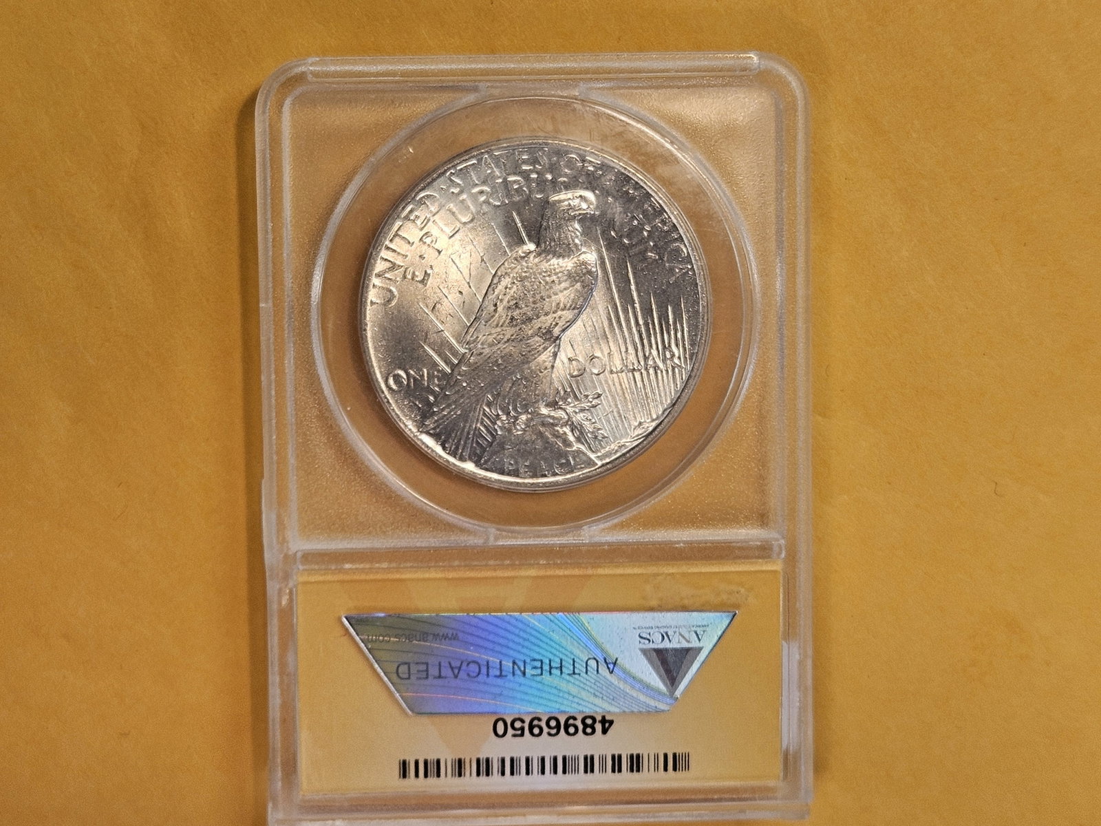 GEM! ANACS 1925 Peace silver Dollar in Mint State 65 - 3