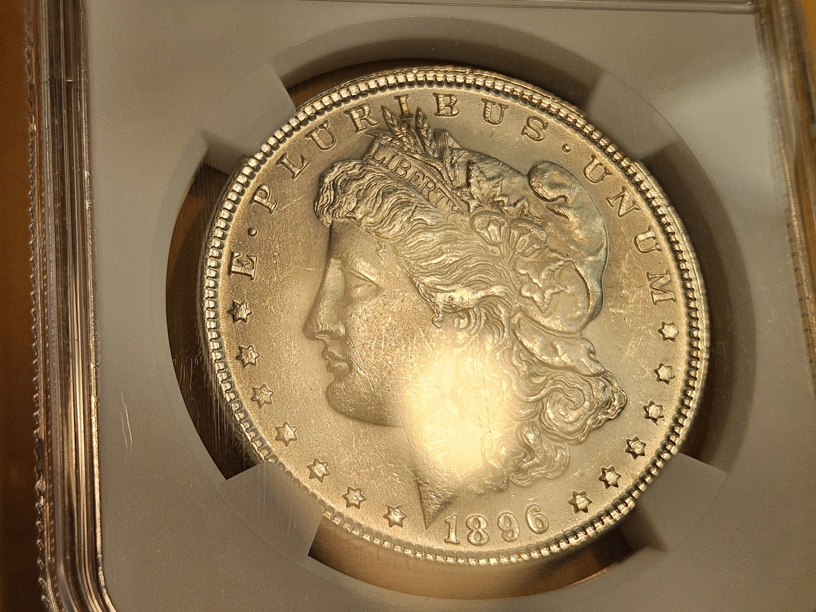 NGC 1896 Morgan Dollar in Mint State 63 - 3