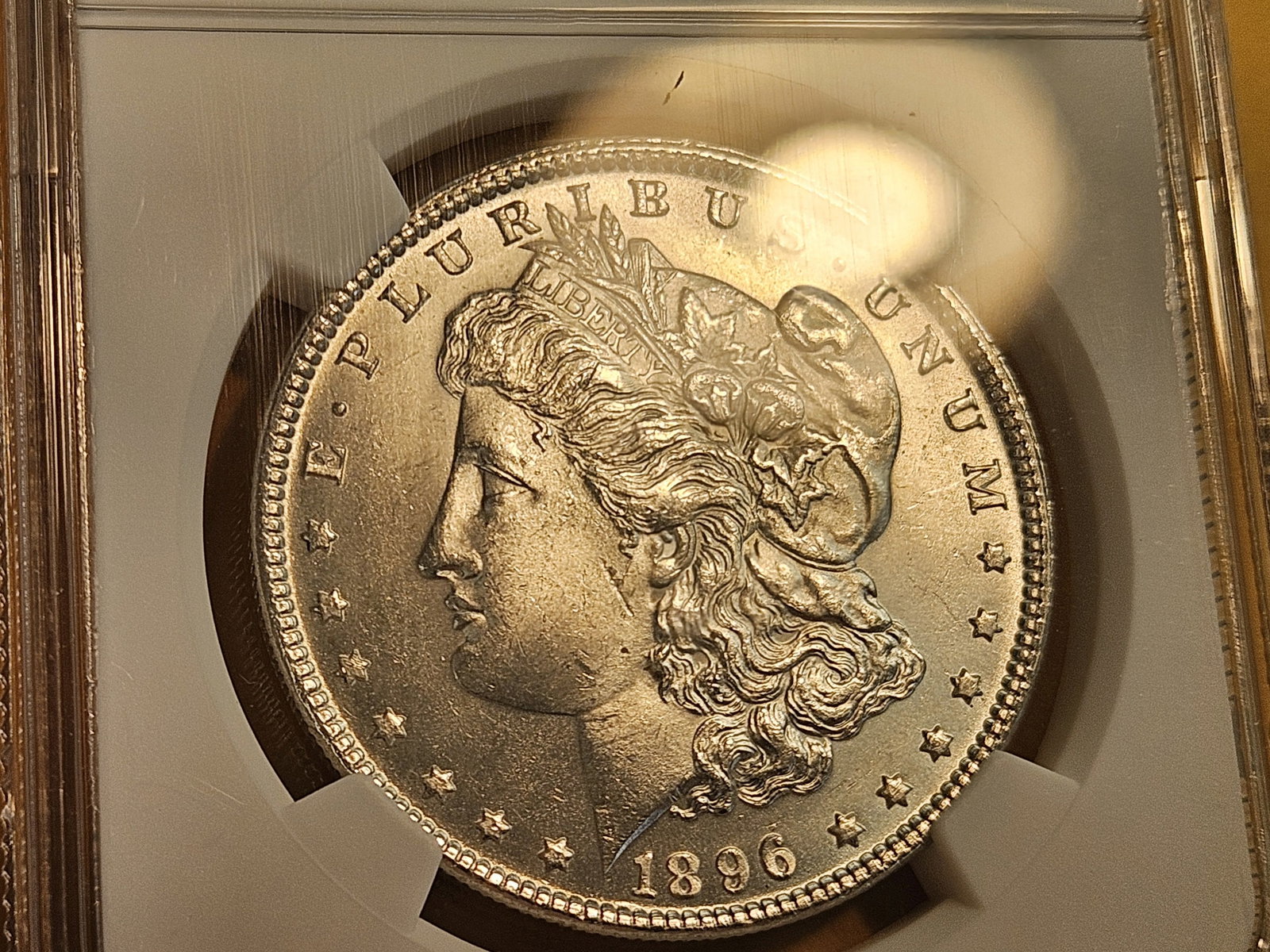 NGC 1896 Morgan Dollar in Mint State 63 - 4