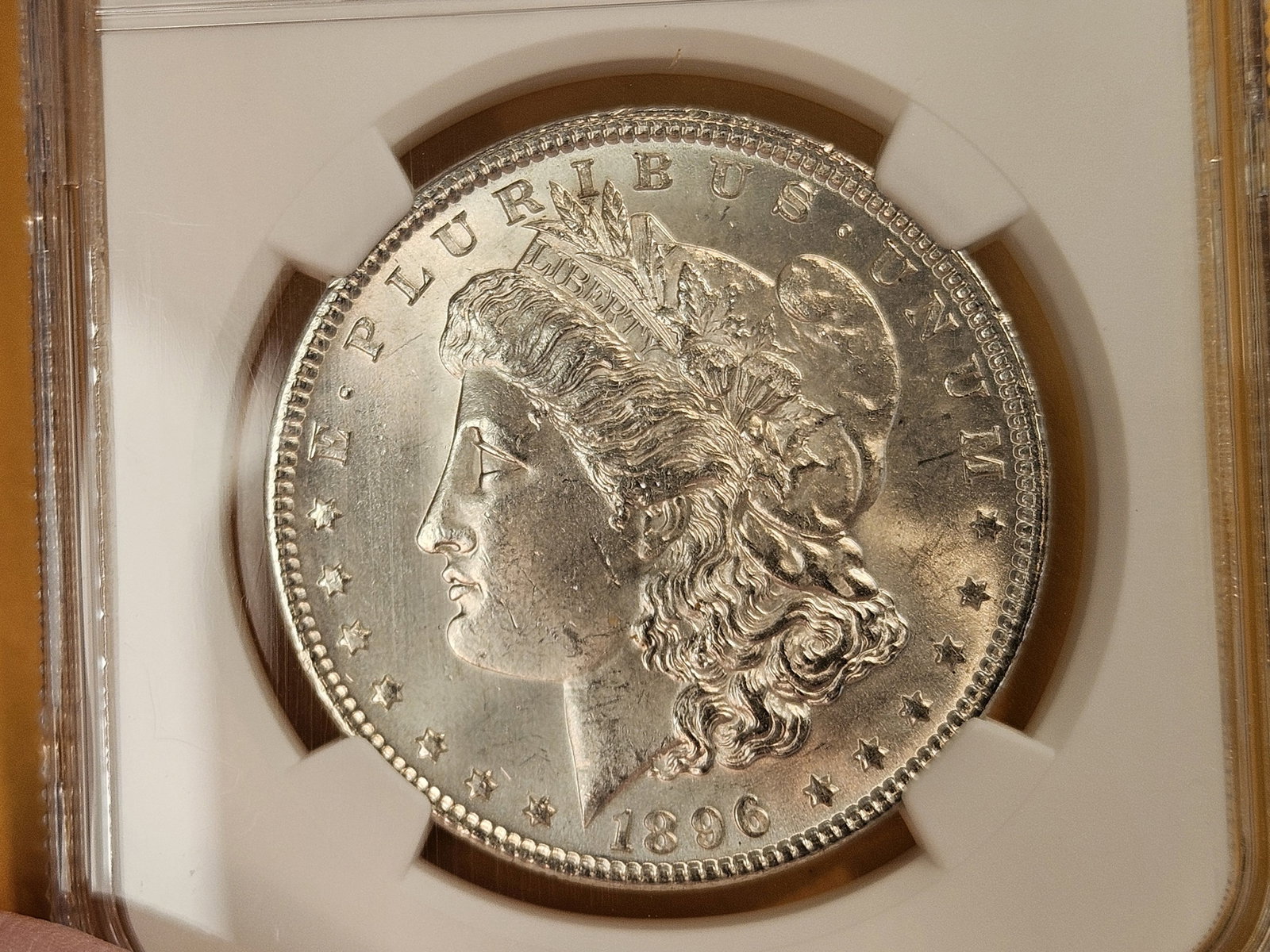 NGC 1896 Morgan Dollar in Mint State 63 - 5
