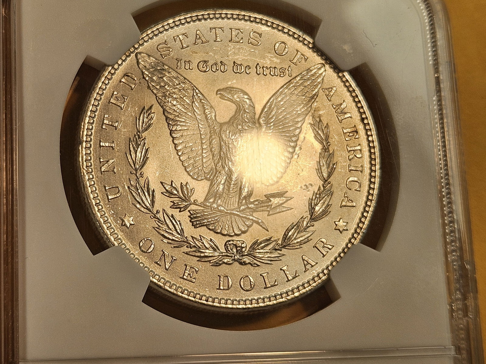NGC 1896 Morgan Dollar in Mint State 63 - 7