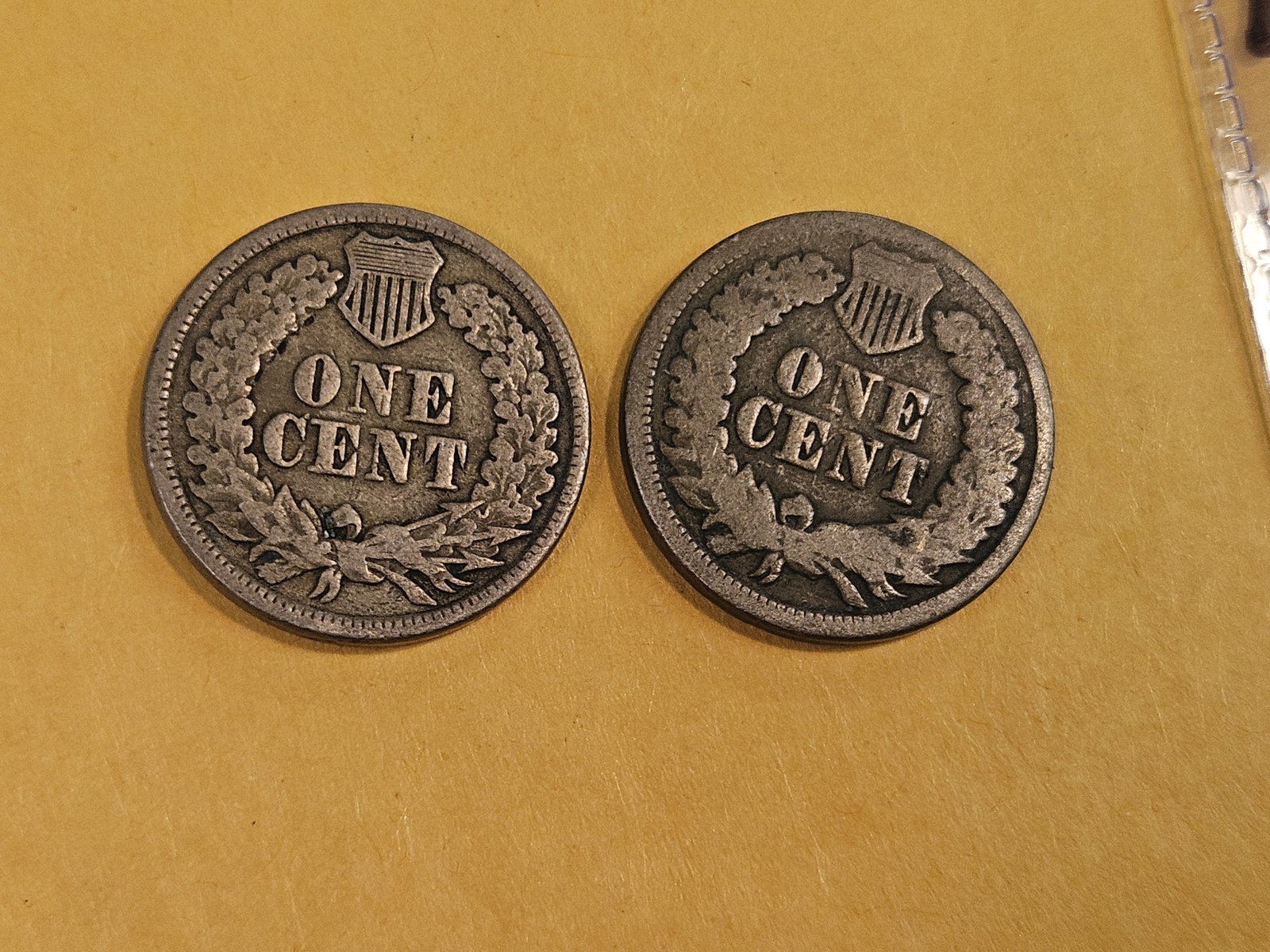 Five little better Indian Cents - 5