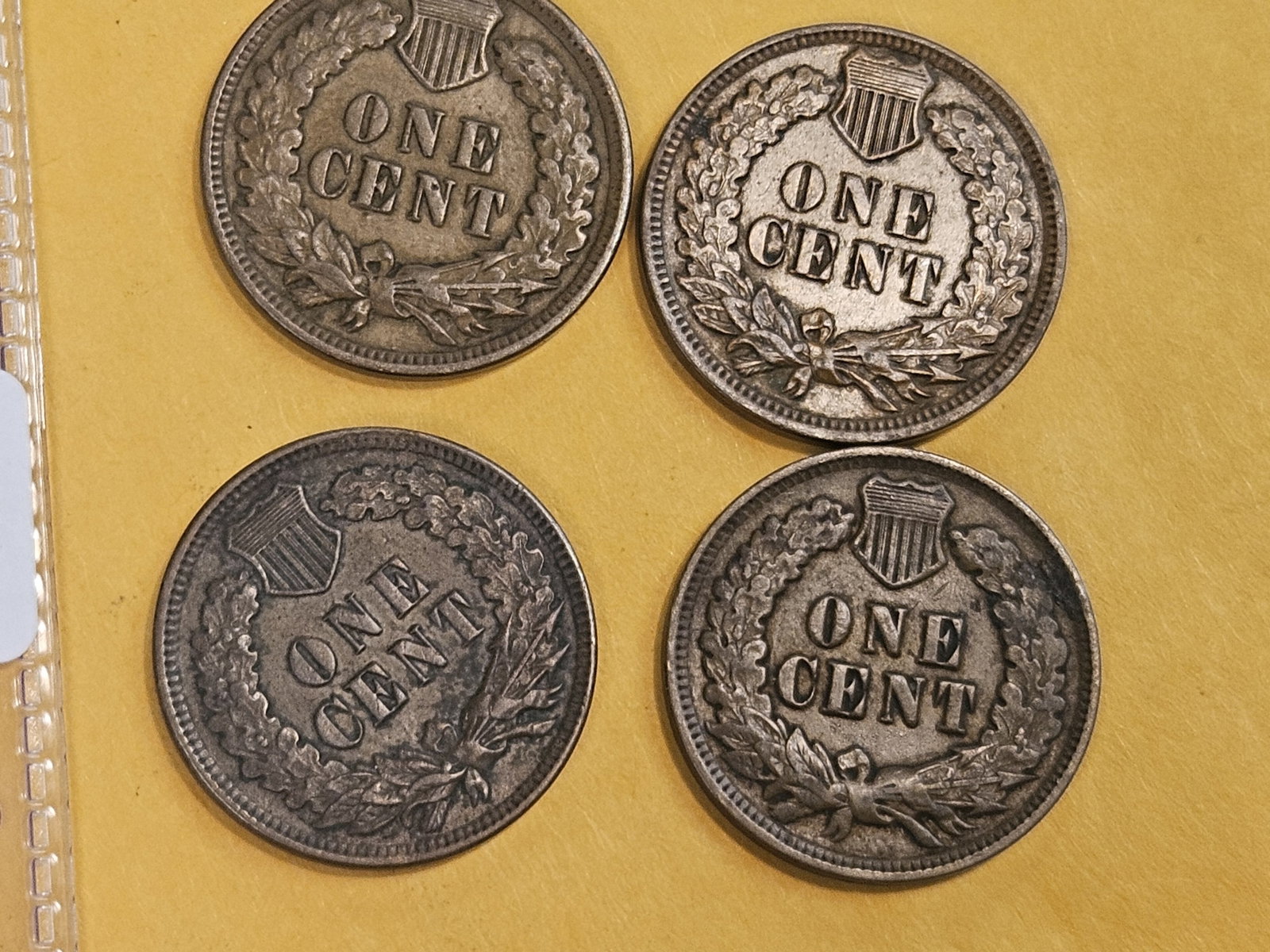 Four 1900's Indian Cents in Extra Fine - 3