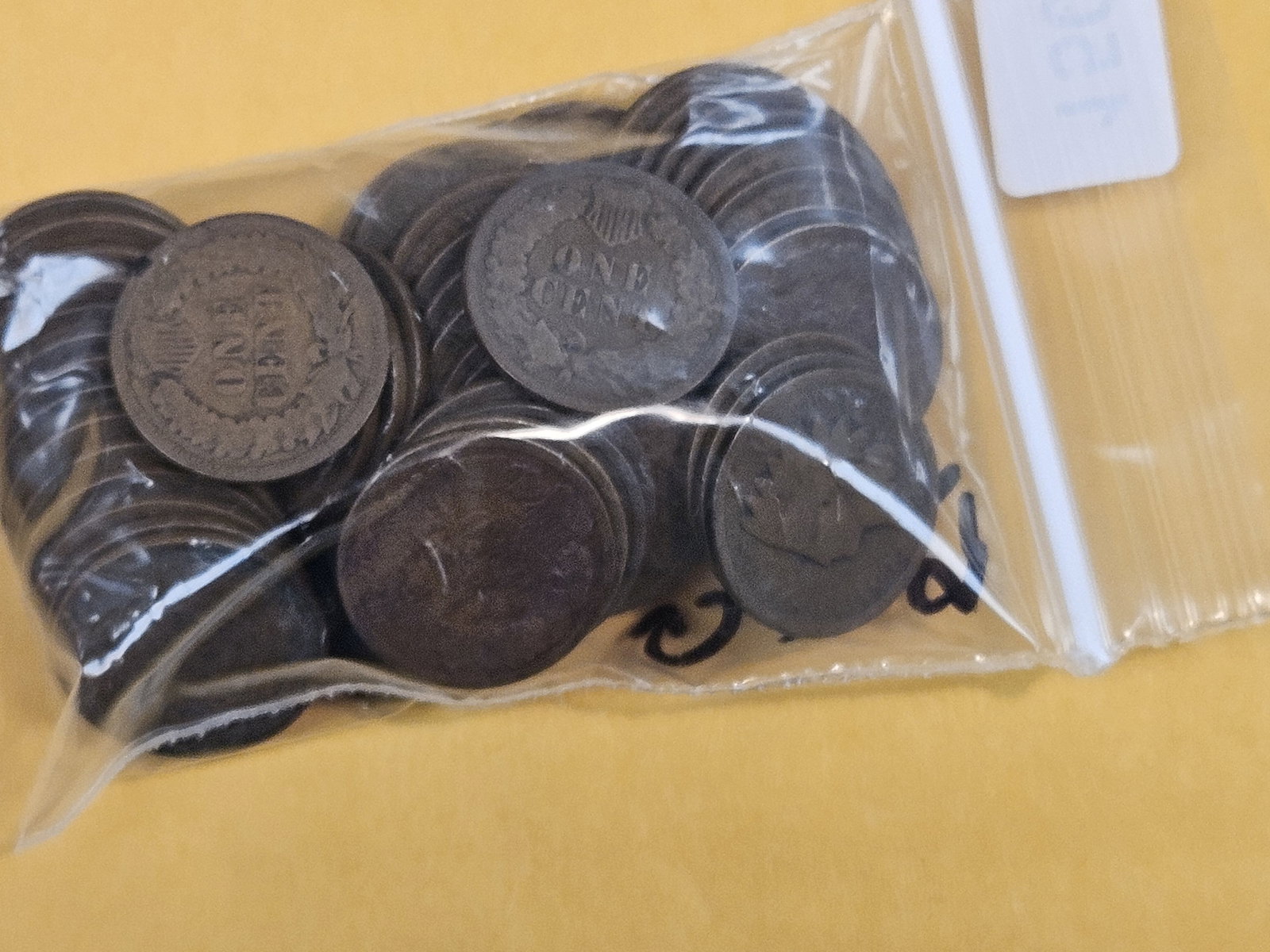 Fifty-One Indian Cents - 2