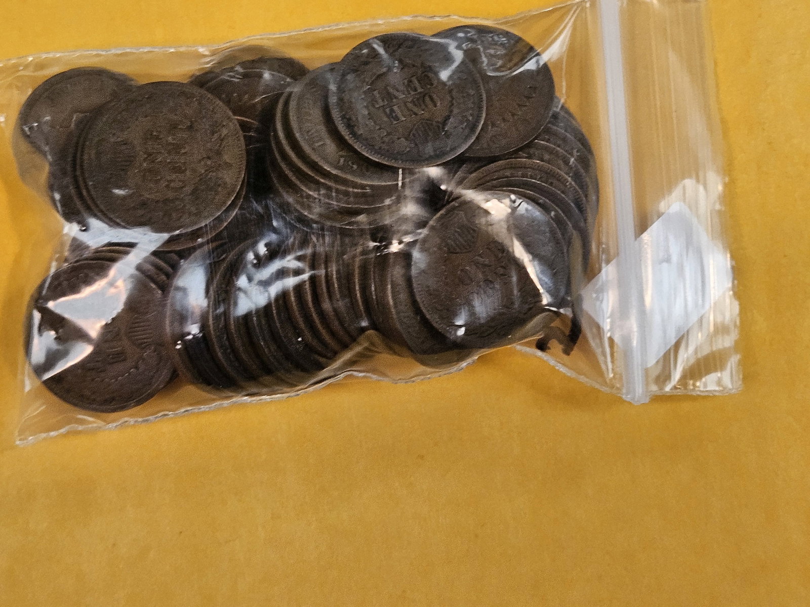 Fifty-One Indian Cents - 2
