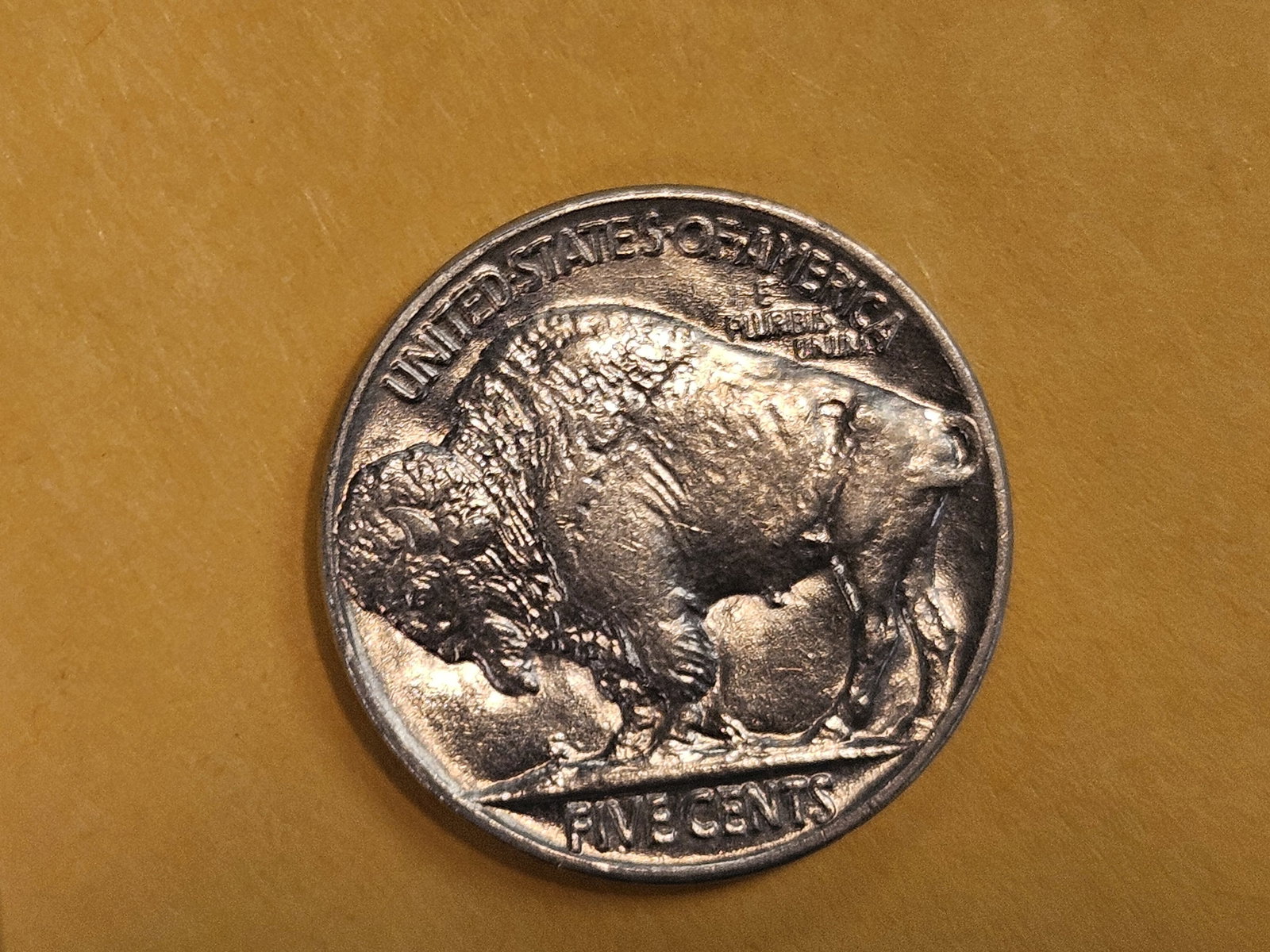 GEM Brilliant Uncirculated 1936 Buffalo Nickel - 7