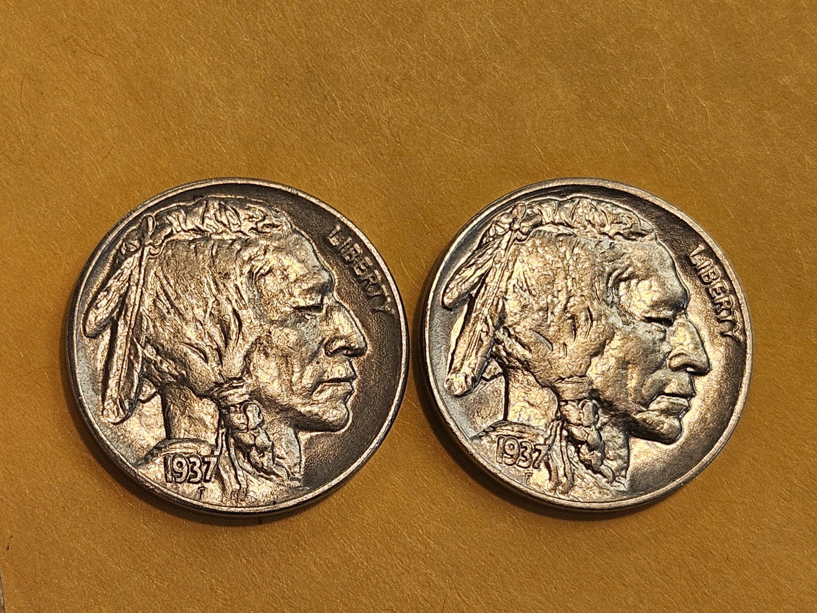 Two Very Choice Brilliant Uncirculated Buffalo Nickels - 3