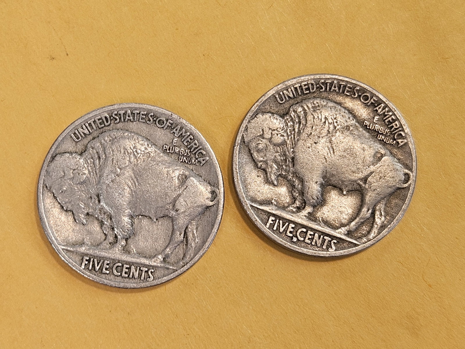 Two Buffalo Nickels in Very Fine - 3