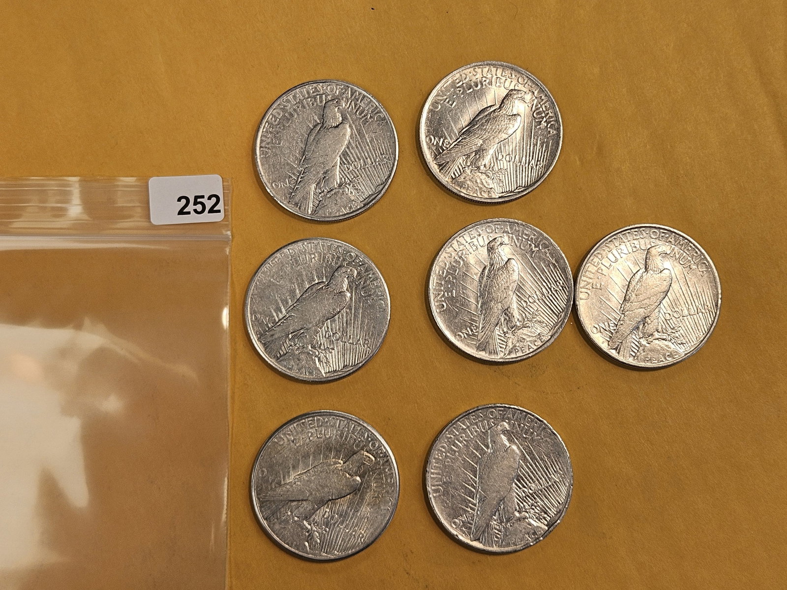 Seven mixed Silver Peace Dollars - 3