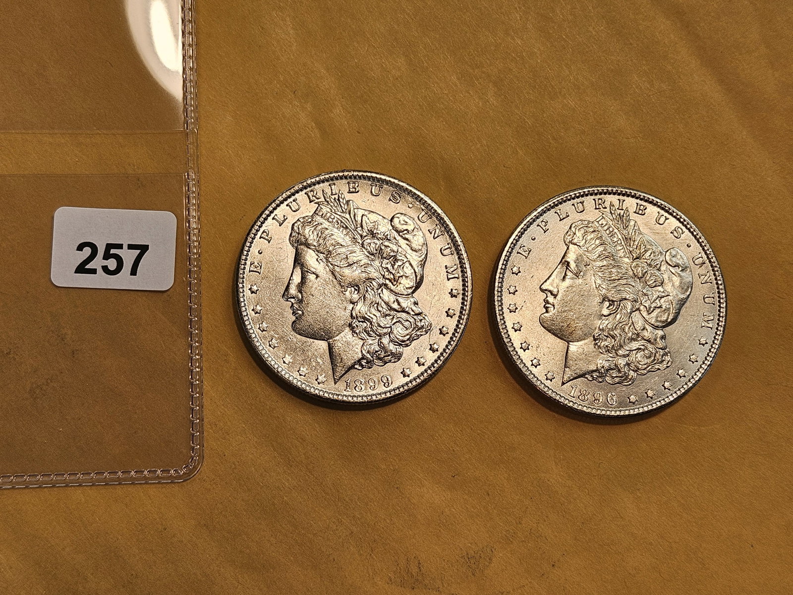 Two Brilliant About Uncirculated plus Morgan Silver Dollars - 2