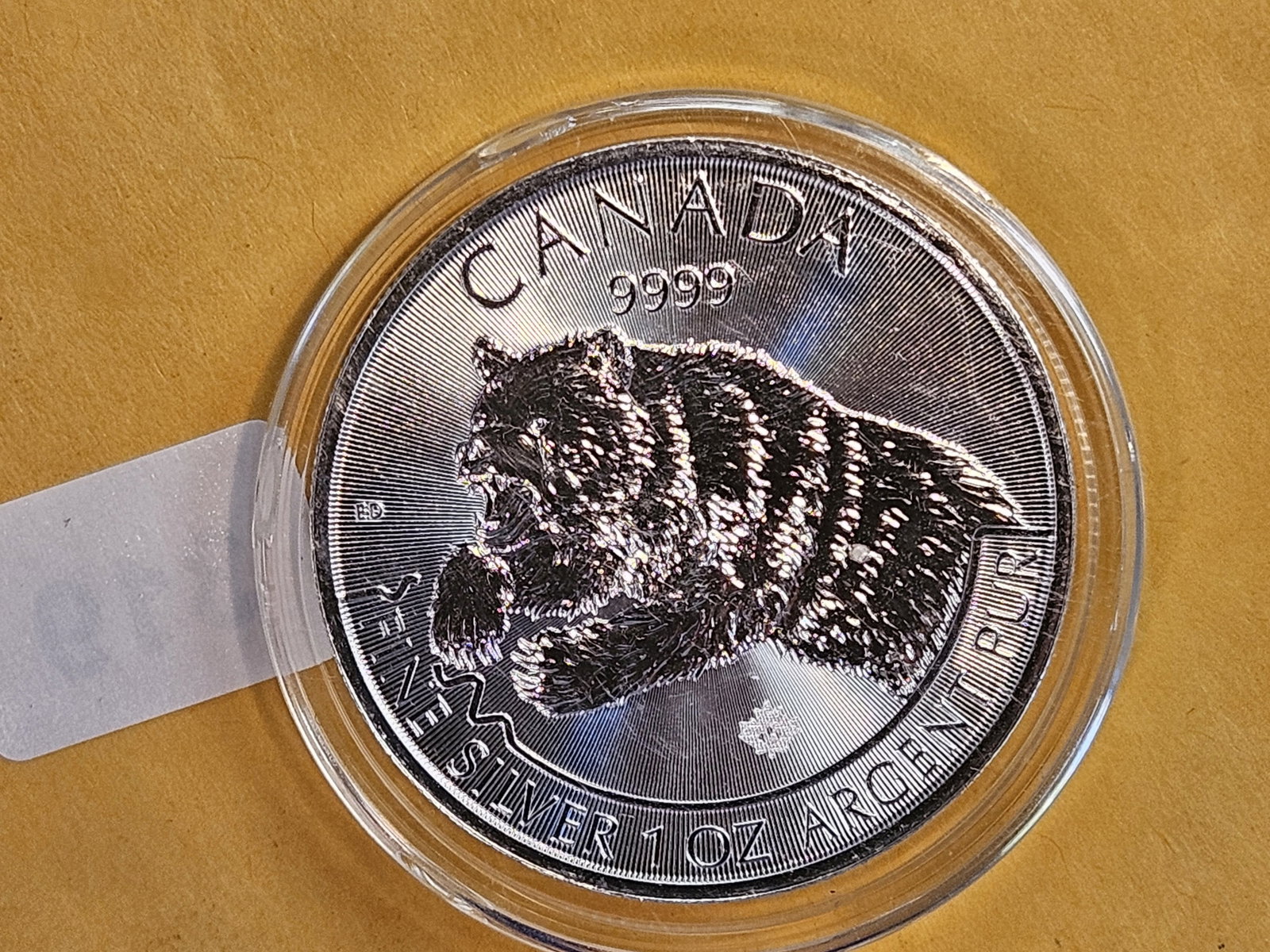 GEM 2019 Canada silver 5 dollars - 2