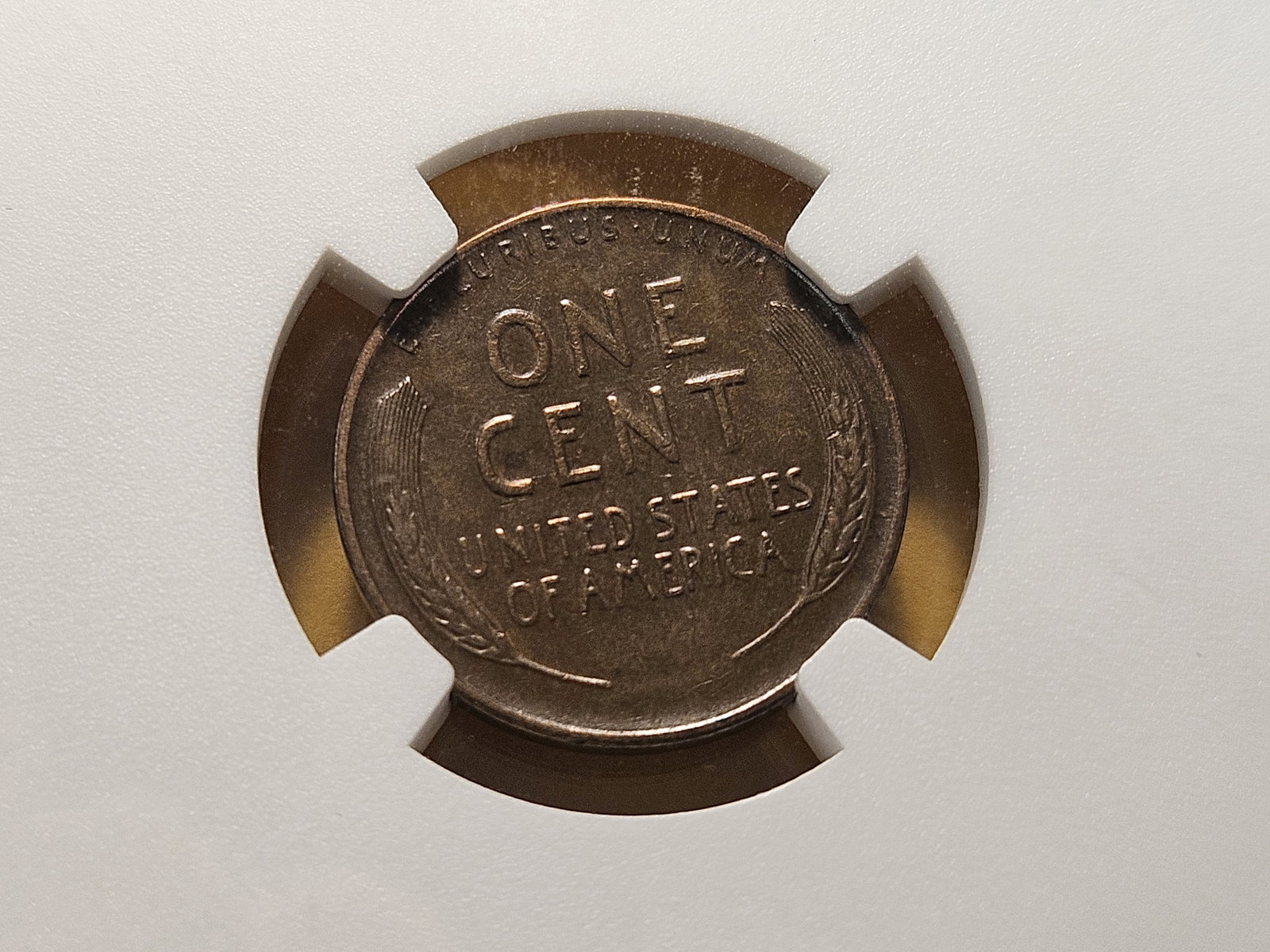 Key Date! NGC 1931-S Lincoln Wheat Cent in About Uncirculated 50 Brown - 4