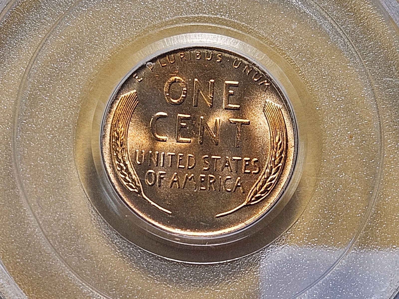 GEM! PCGS 1952-D Lincoln Wheat Cent in Mint State 66 Red - 4