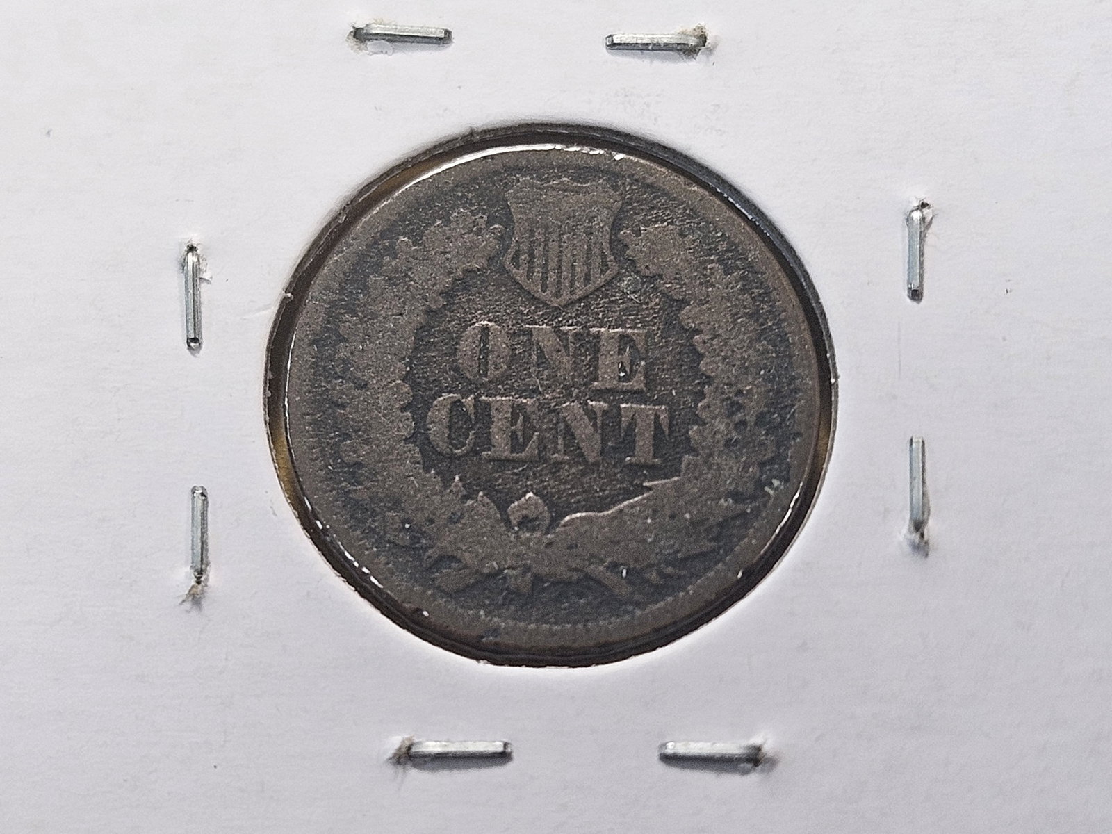 Four Indian Head Cents - 7