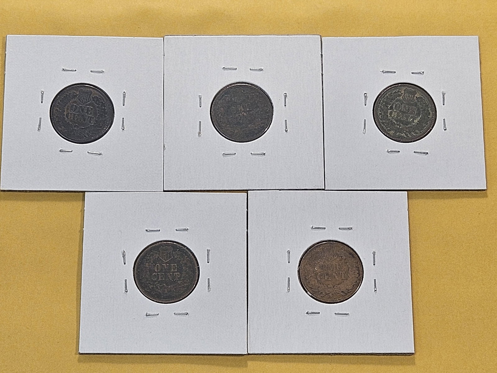 Five Circulated Indian Head Cents - 7
